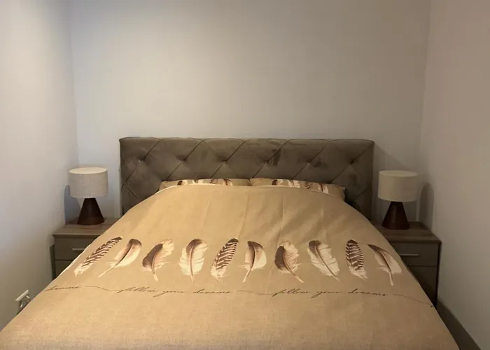 Studioverhuur De Nieuwe Doelen Zevenaar