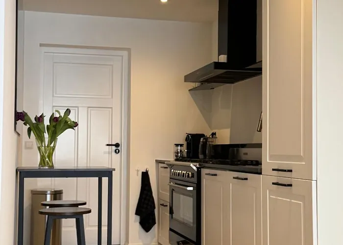 Studioverhuur De Nieuwe Doelen 3* Зевенар