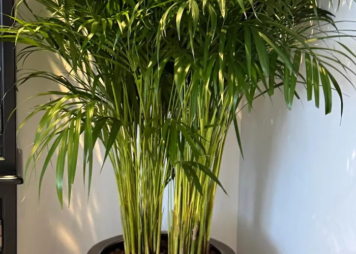 Studioverhuur De Nieuwe Doelen Гостевой дом Зевенар